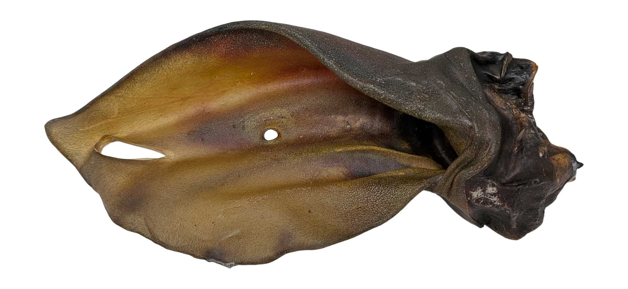 Food4Pets Rinderohren 5 Stück ca. 20 cm – 100% Rind – Naturkauartikel für Hunde – Bild 3